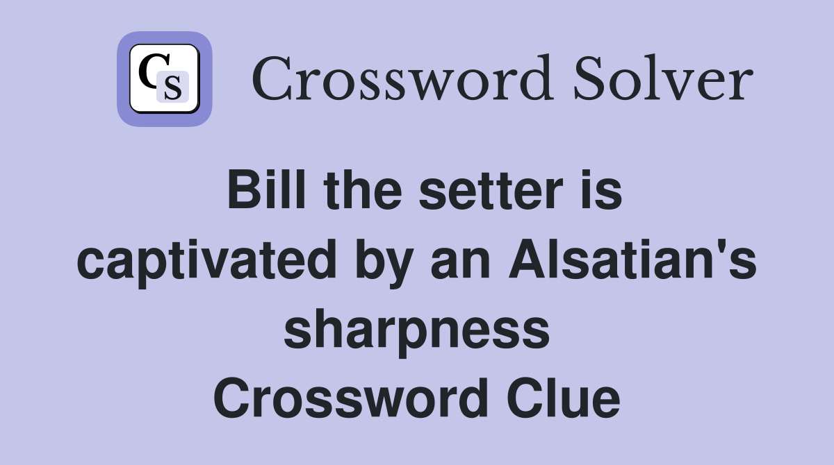 Bill the setter is captivated by an Alsatian's sharpness Crossword Clue