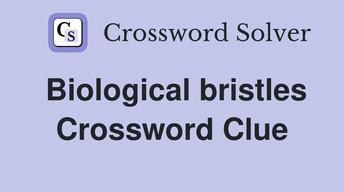 Biological bristles Crossword Clue