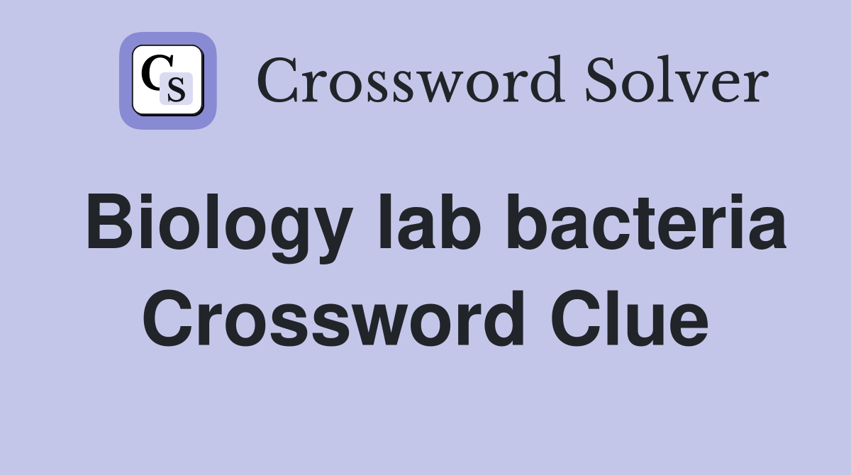 Biology lab bacteria Crossword Clue