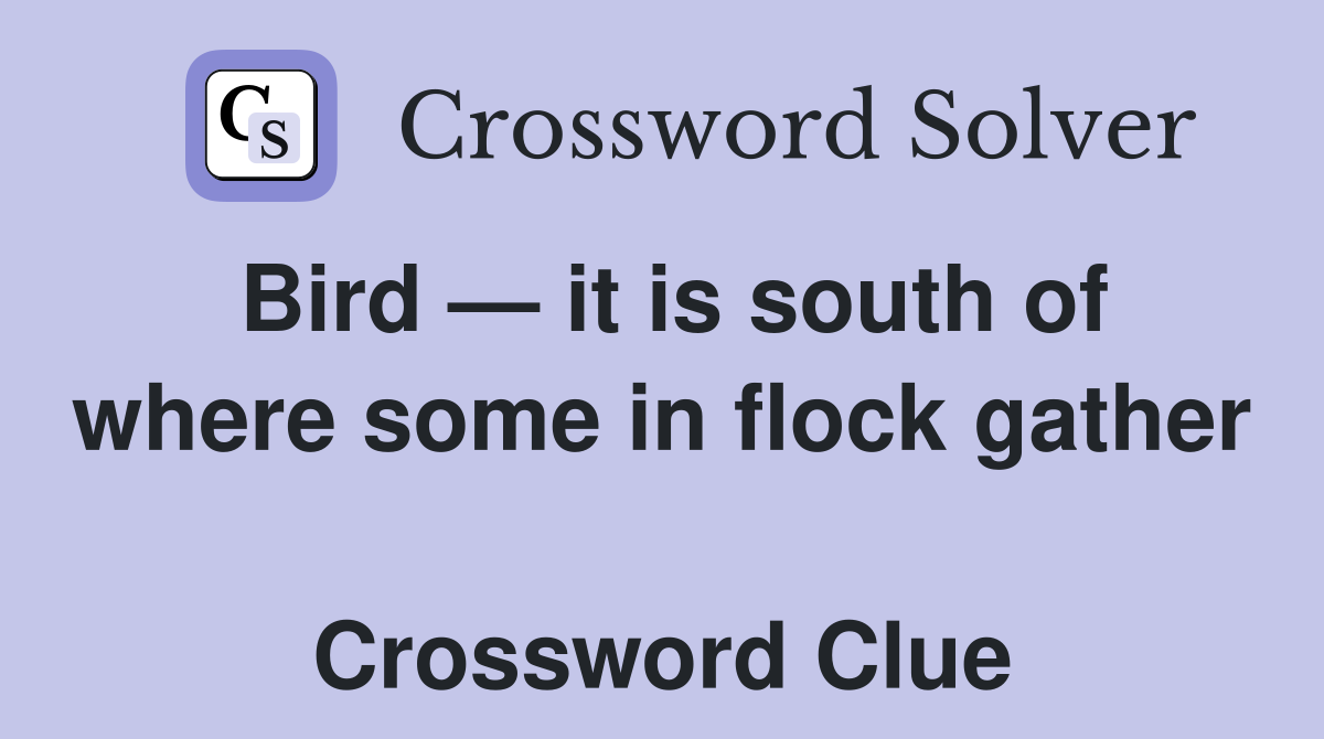 Bird — it is south of where some in flock gather  Crossword Clue