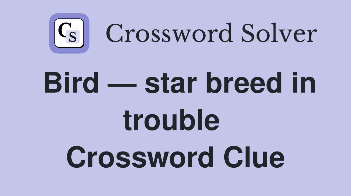 Bird — star breed in trouble  Crossword Clue