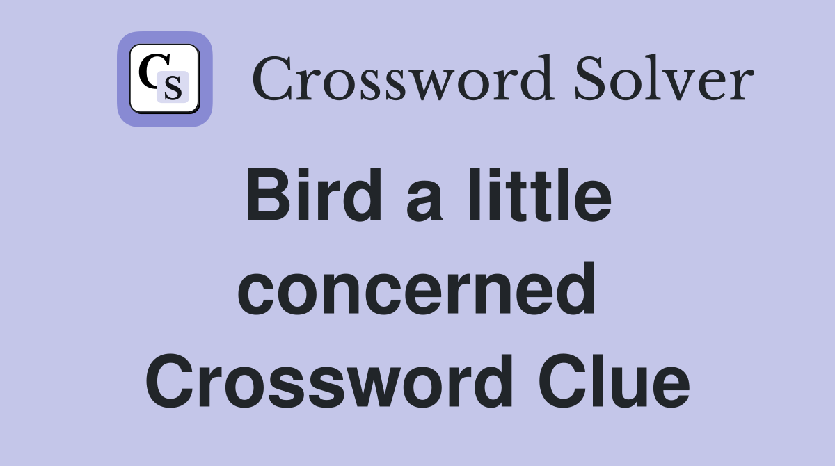 Bird a little concerned Crossword Clue