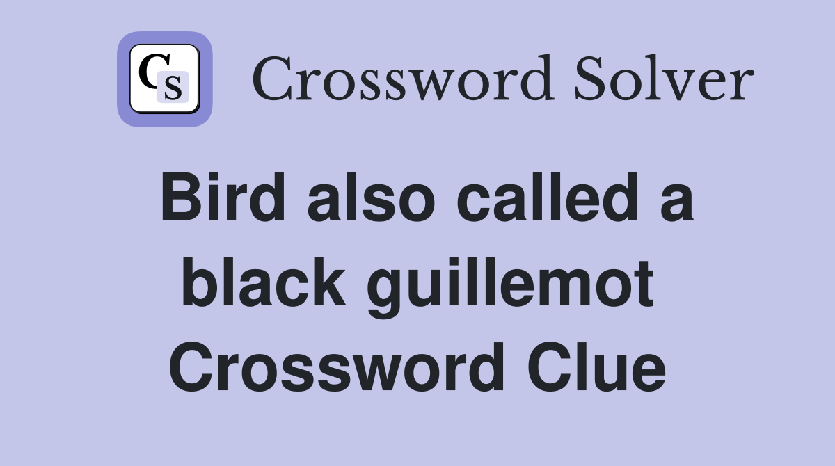 Bird also called a black guillemot Crossword Clue