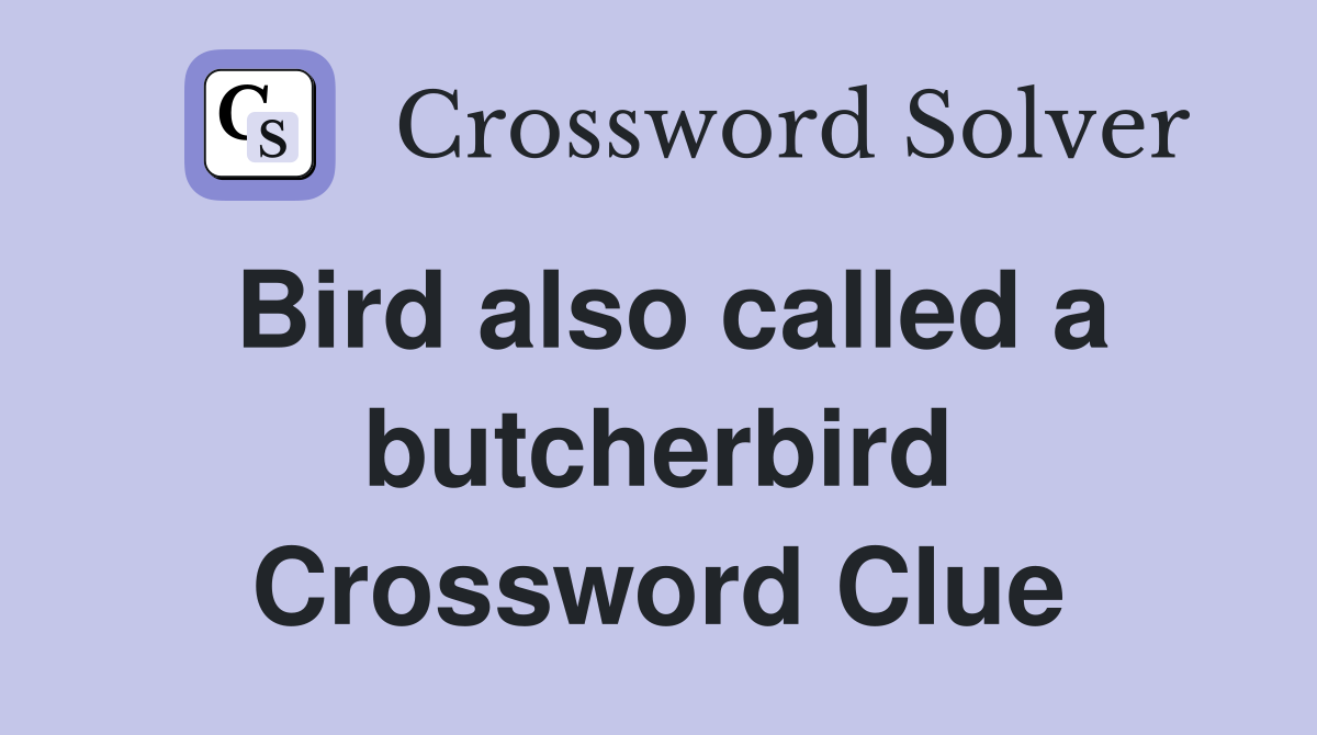 Bird also called a butcherbird Crossword Clue