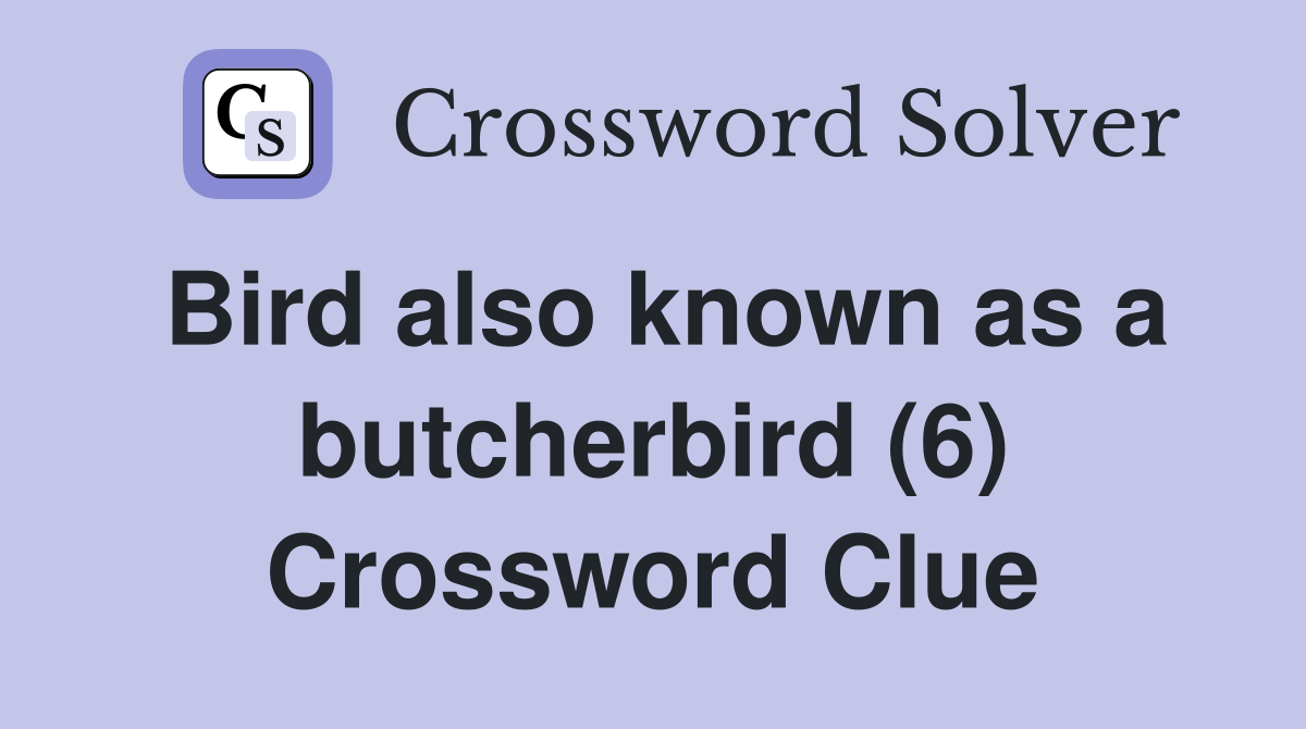 Bird also known as a butcherbird (6) Crossword Clue