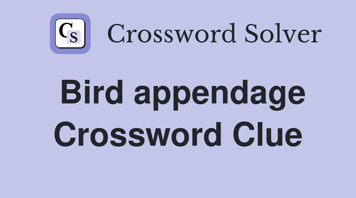 Bird appendage Crossword Clue