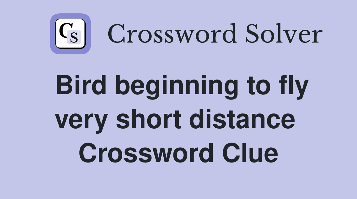 Bird beginning to fly very short distance  Crossword Clue