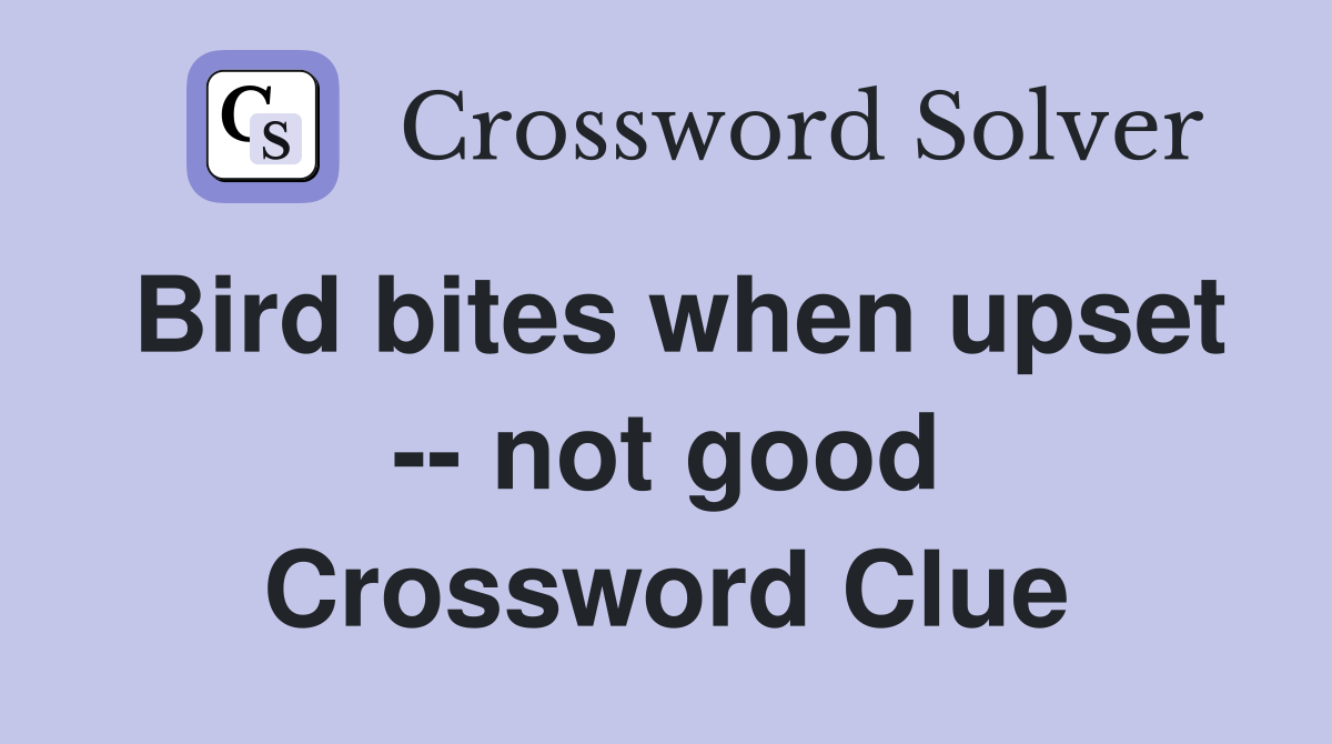 Bird bites when upset -- not good Crossword Clue