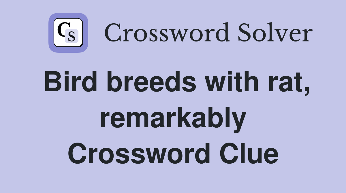 Bird breeds with rat, remarkably Crossword Clue