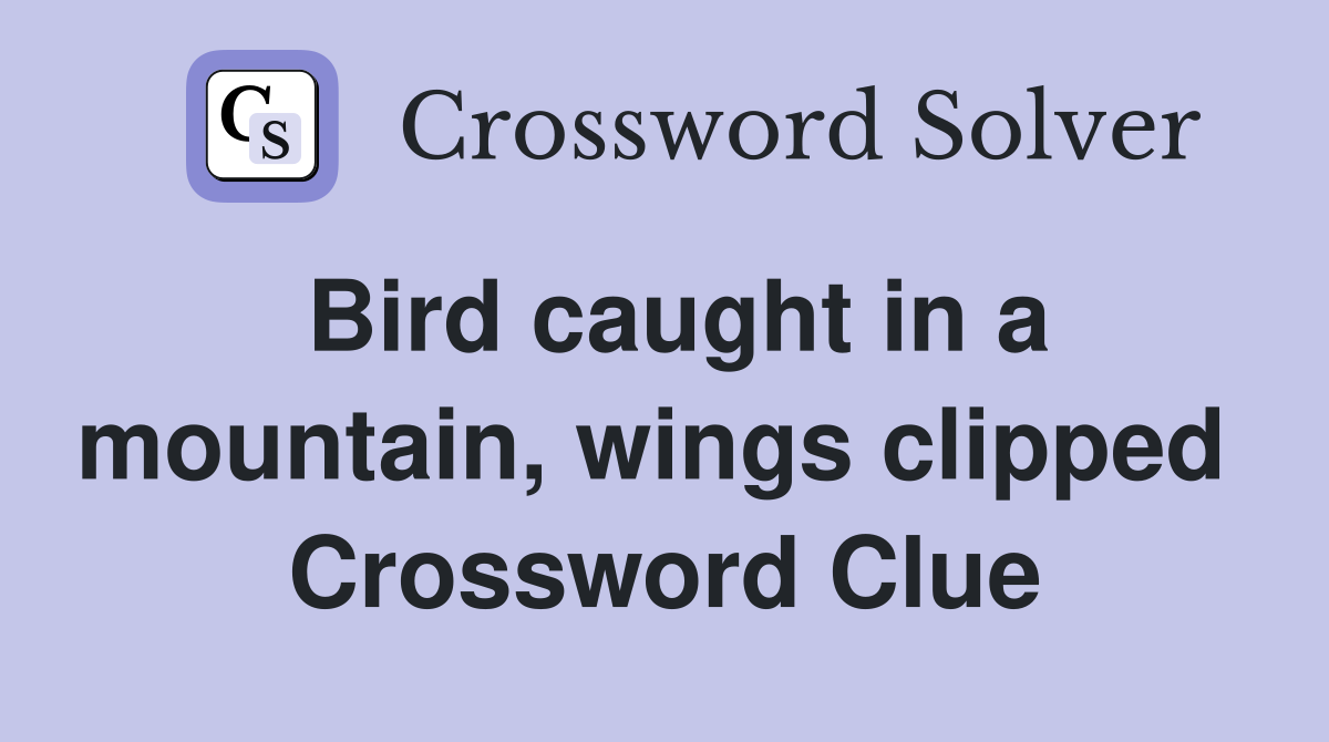 Bird caught in a mountain, wings clipped  Crossword Clue