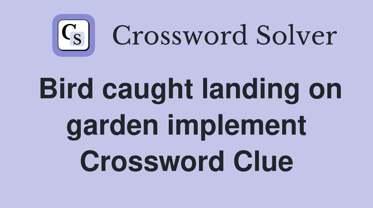 Bird caught landing on garden implement Crossword Clue