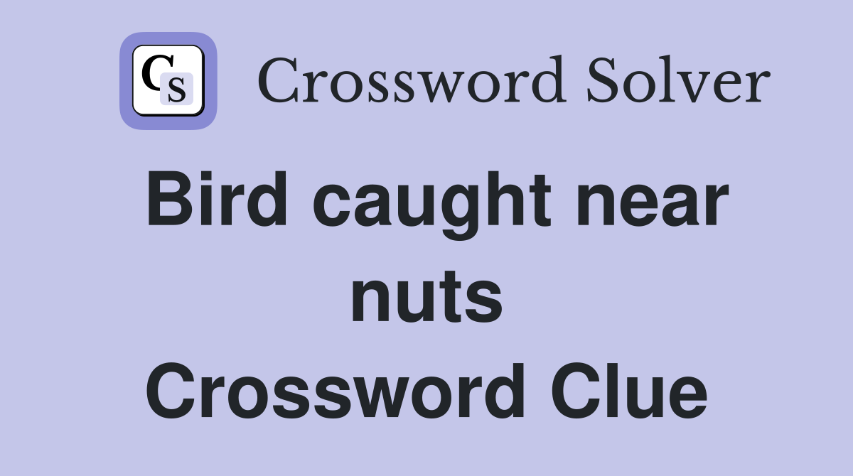 Bird caught near nuts Crossword Clue