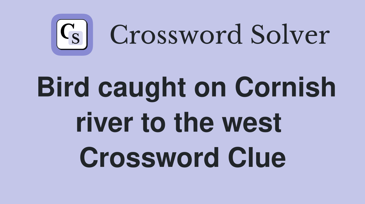 Bird caught on Cornish river to the west  Crossword Clue