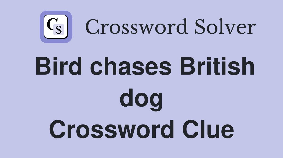 Bird chases British dog Crossword Clue