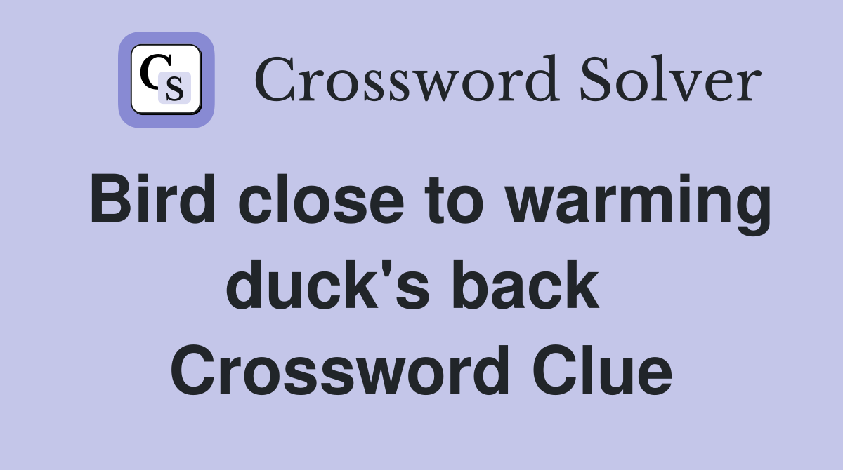 Bird close to warming duck's back  Crossword Clue