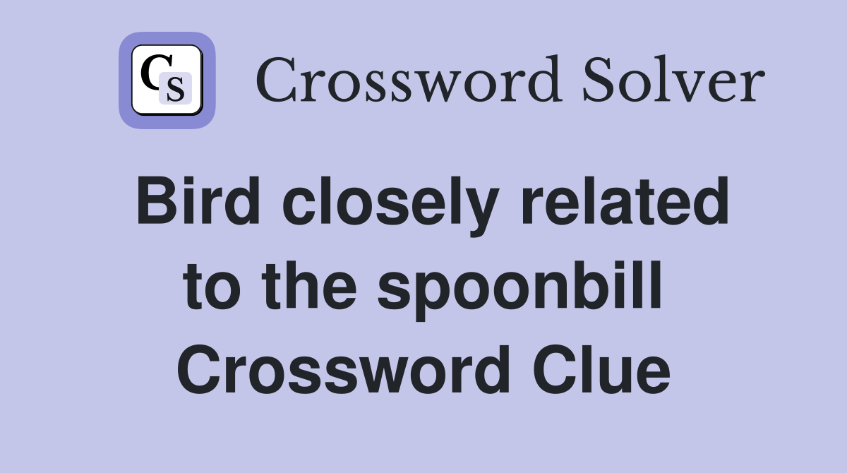 Bird closely related to the spoonbill Crossword Clue