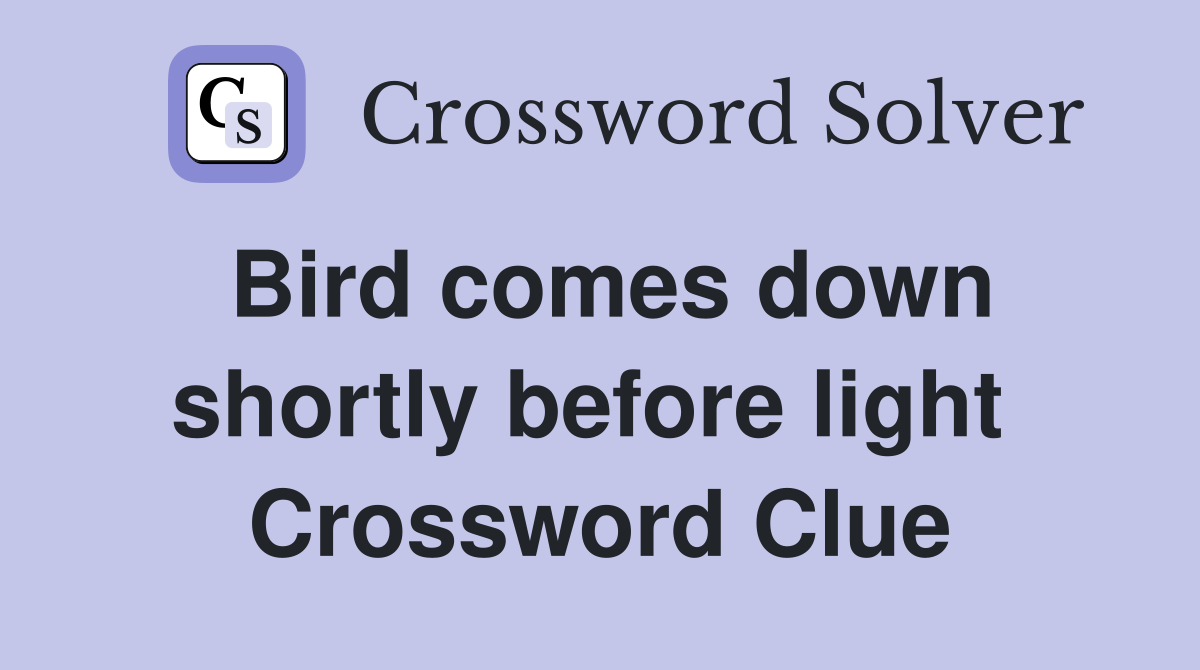 Bird comes down shortly before light  Crossword Clue