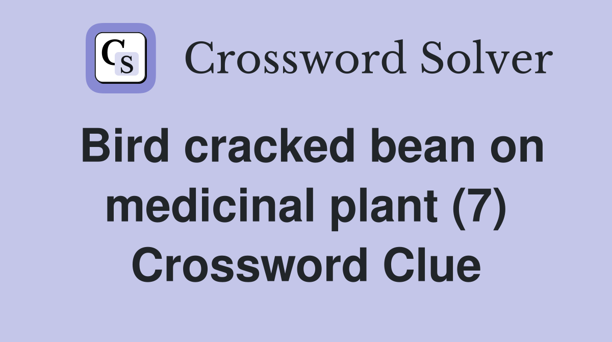 Bird cracked bean on medicinal plant (7) Crossword Clue