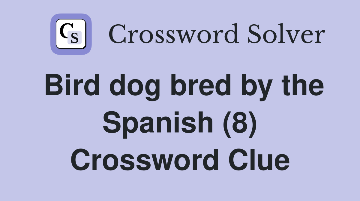 Bird dog bred by the Spanish (8) Crossword Clue