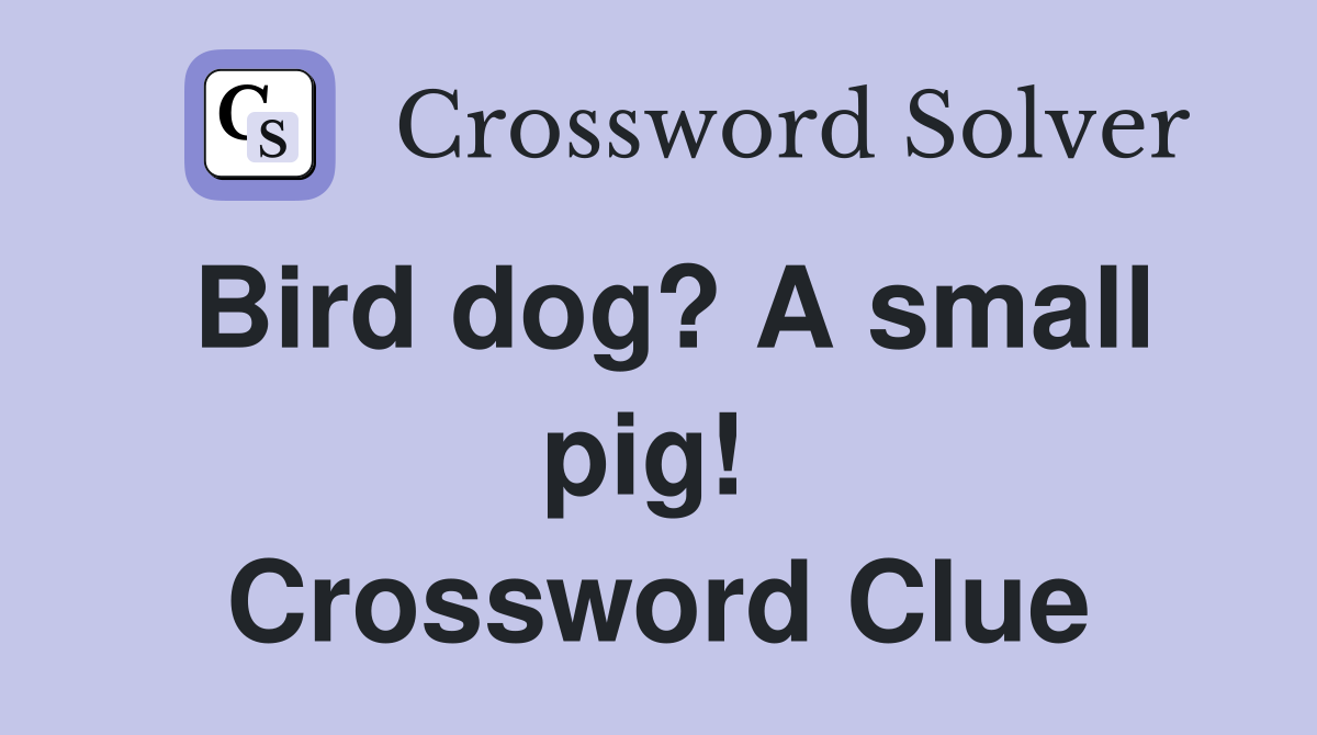 Bird dog? A small pig!  Crossword Clue