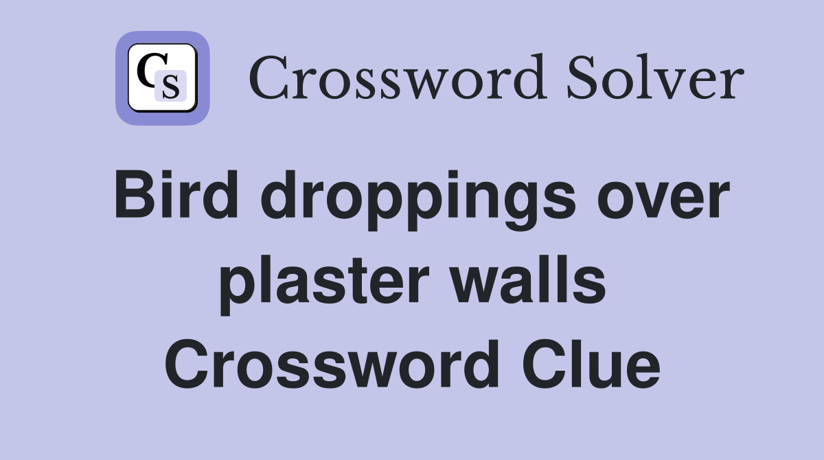 Bird droppings over plaster walls Crossword Clue