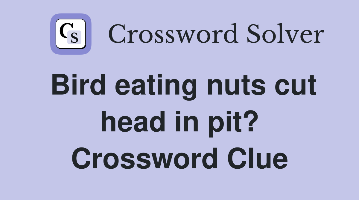 Bird eating nuts cut head in pit? Crossword Clue