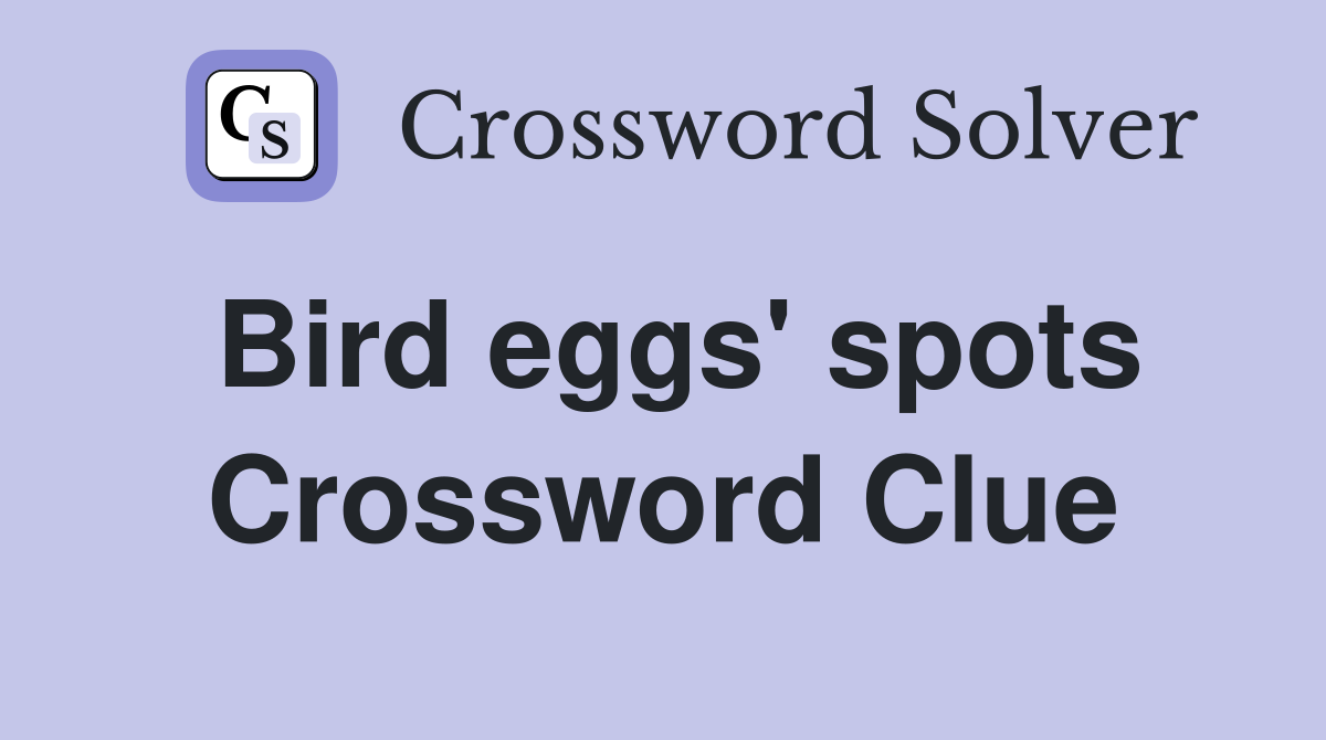 Bird eggs' spots Crossword Clue