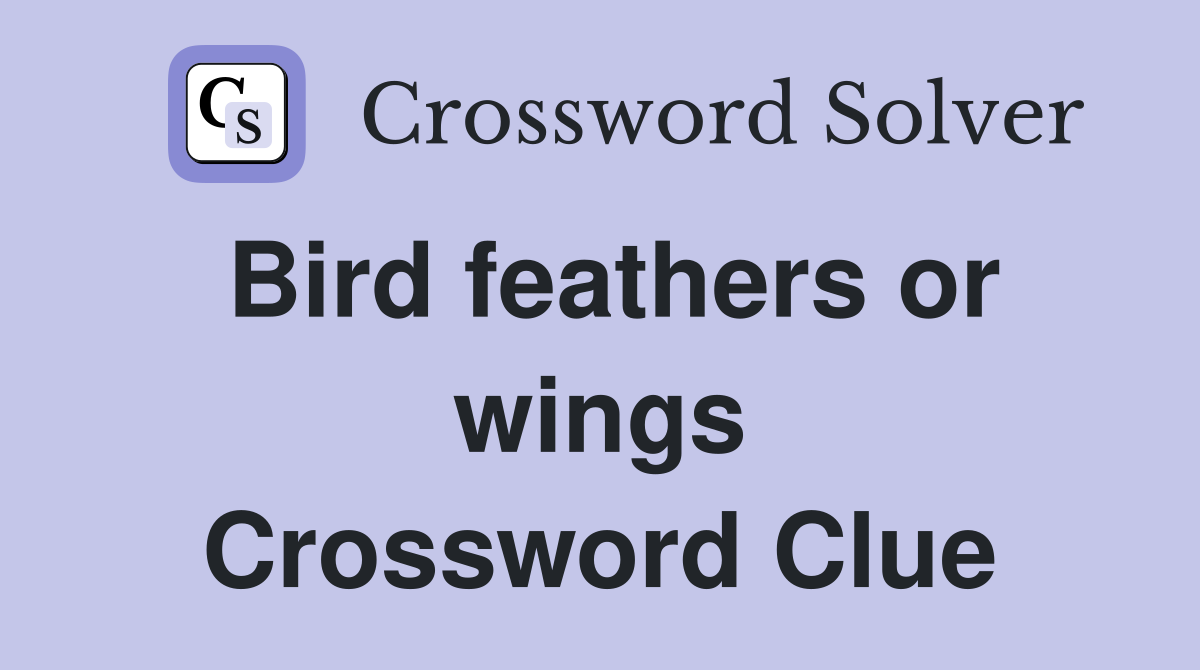 Bird feathers or wings Crossword Clue