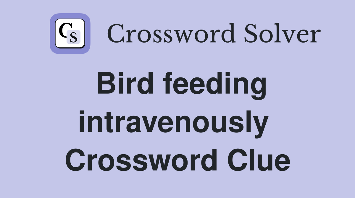 Bird feeding intravenously  Crossword Clue