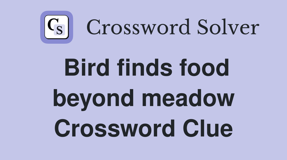 Bird finds food beyond meadow Crossword Clue