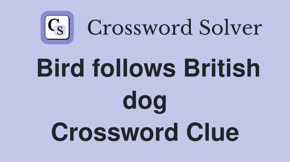 Bird follows British dog Crossword Clue