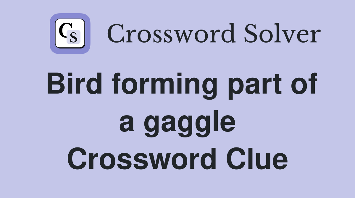 Bird forming part of a gaggle Crossword Clue