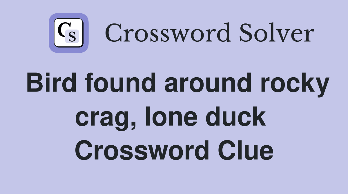 Bird found around rocky crag, lone duck  Crossword Clue