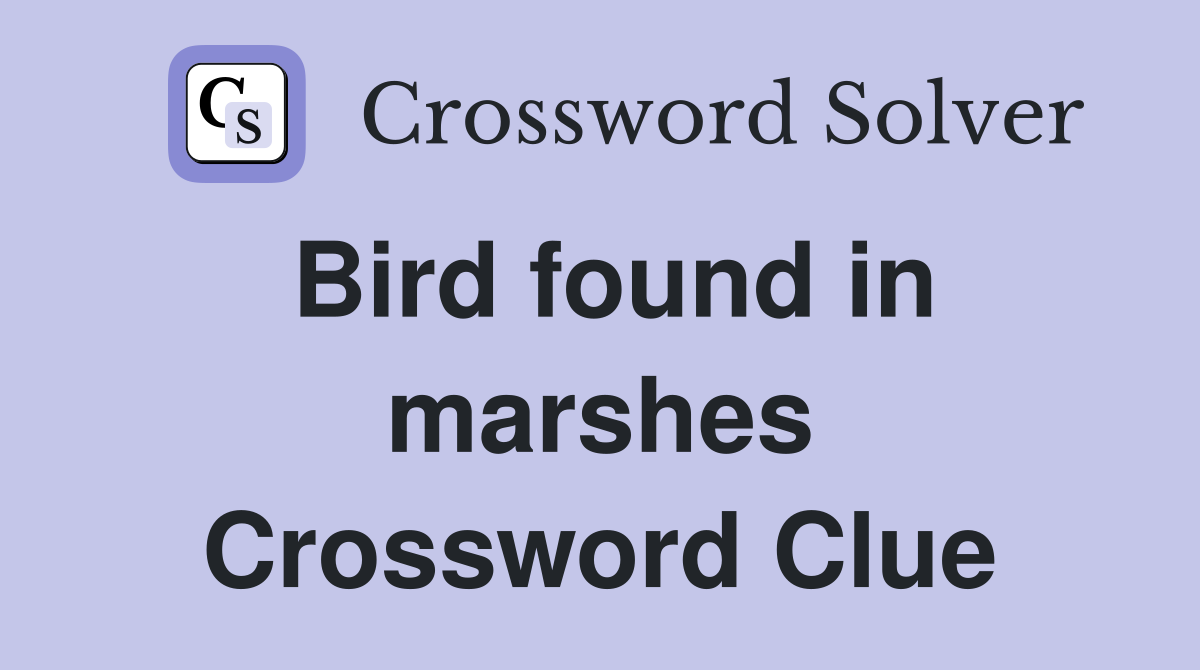 Bird found in marshes Crossword Clue