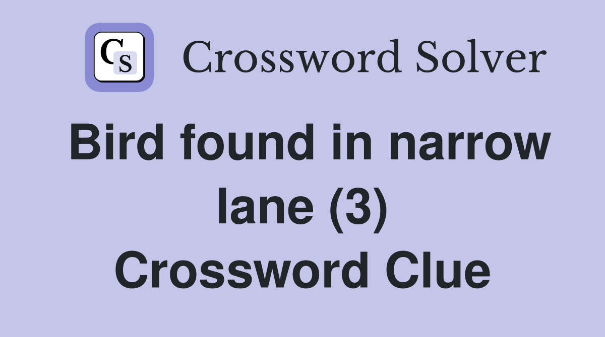 Bird found in narrow lane (3) Crossword Clue