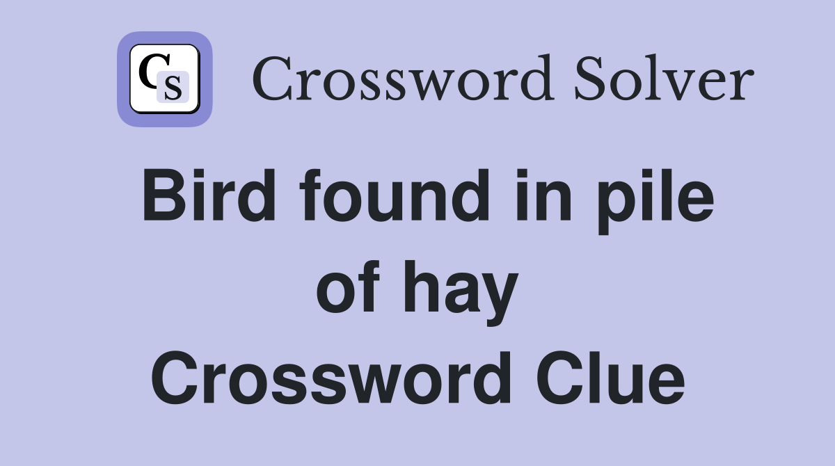 Bird found in pile of hay Crossword Clue