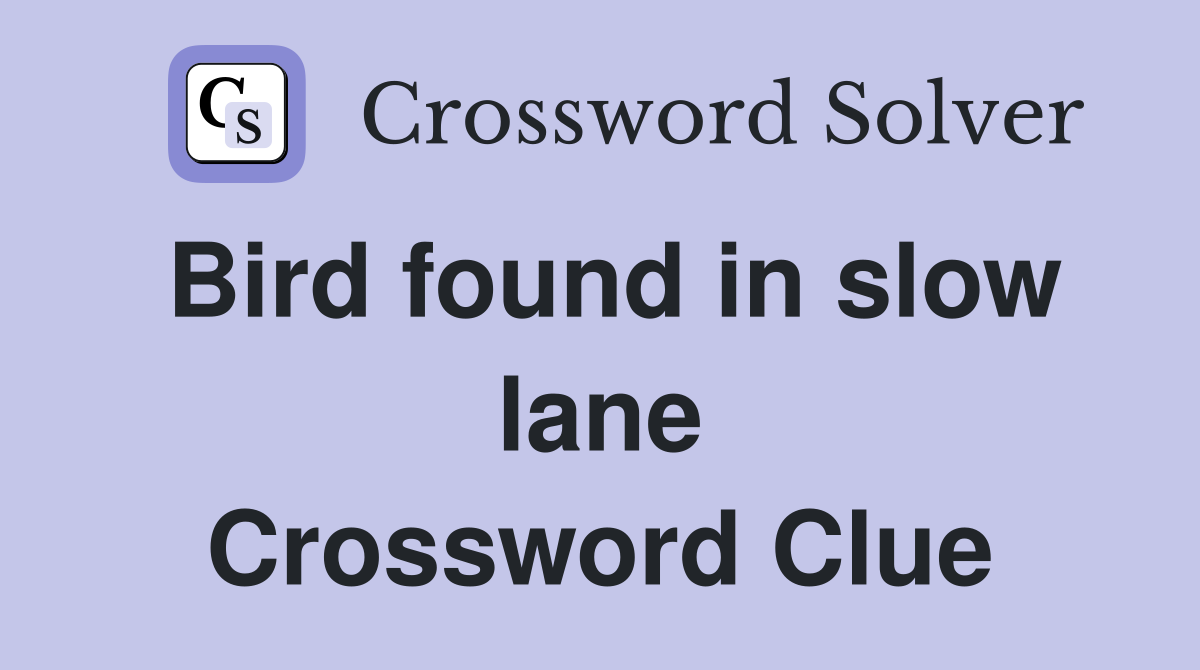 Bird found in slow lane Crossword Clue