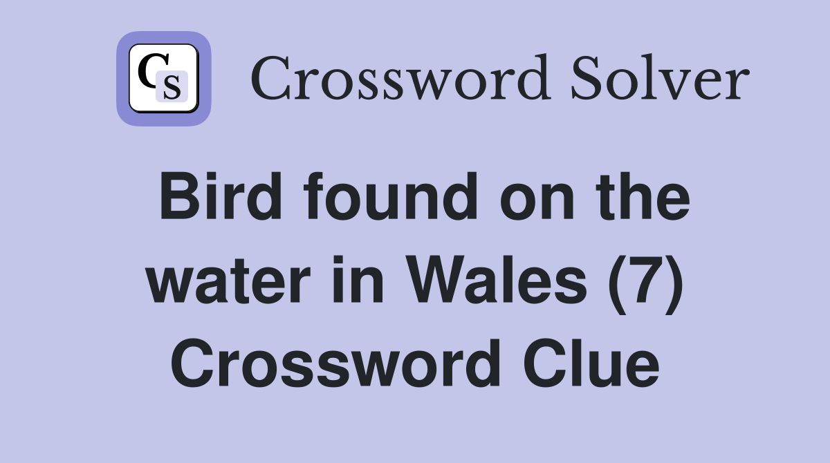 Bird found on the water in Wales (7) Crossword Clue