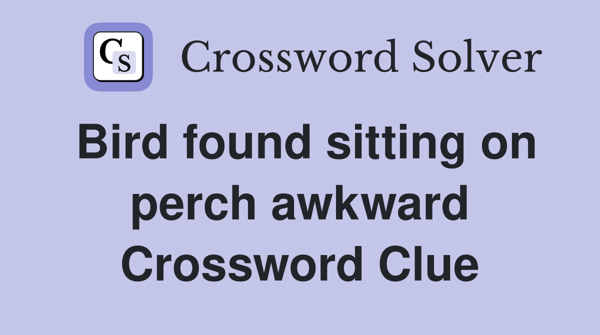 Bird found sitting on perch awkward Crossword Clue