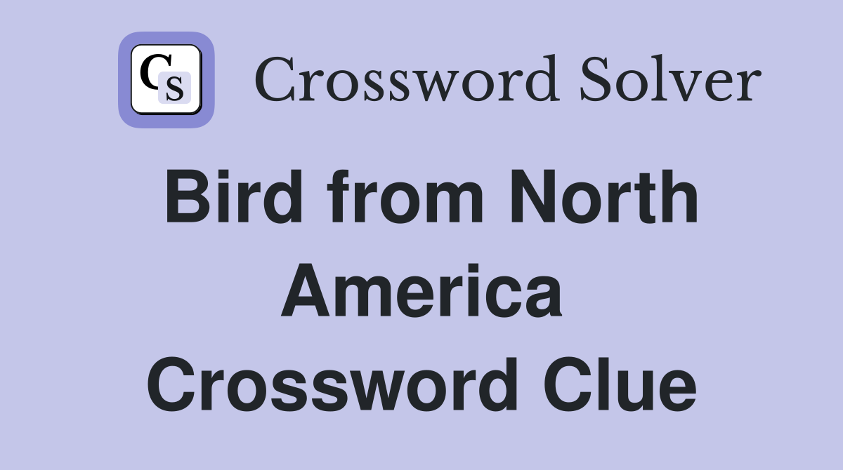 Bird from North America Crossword Clue