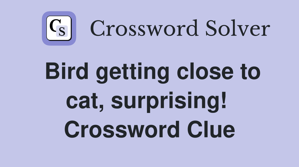 Bird getting close to cat, surprising!  Crossword Clue