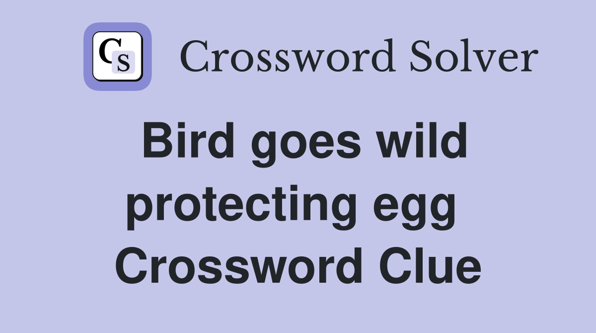 Bird goes wild protecting egg  Crossword Clue