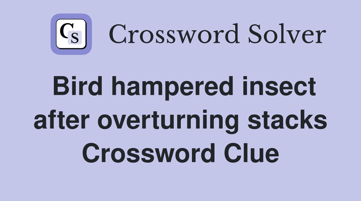 Bird hampered insect after overturning stacks Crossword Clue