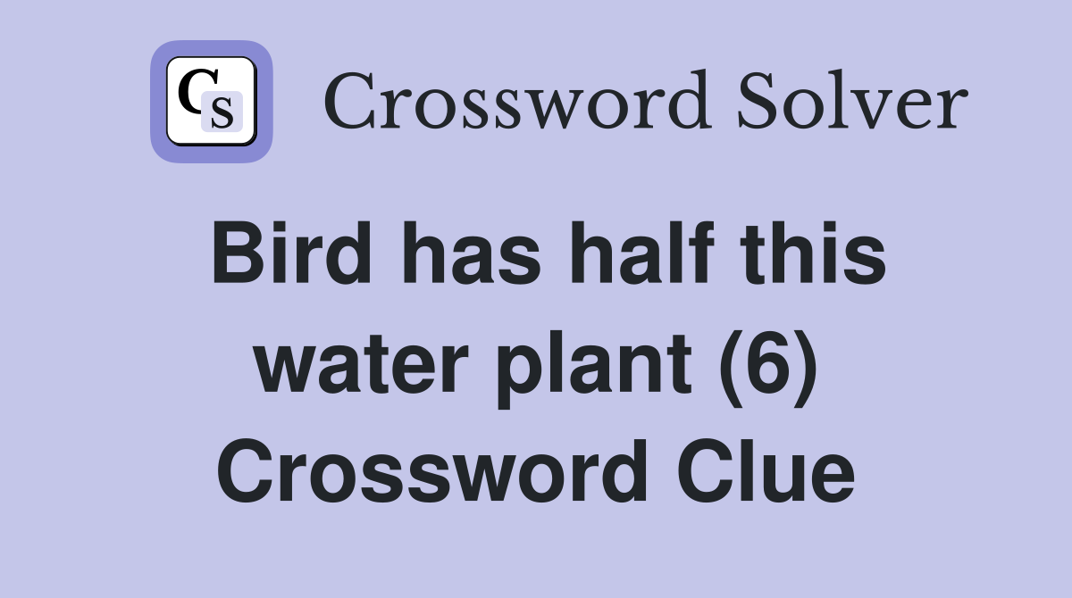 Bird has half this water plant (6) Crossword Clue