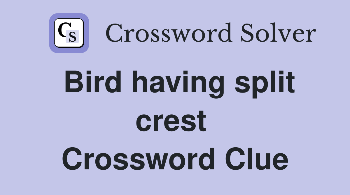 Bird having split crest  Crossword Clue