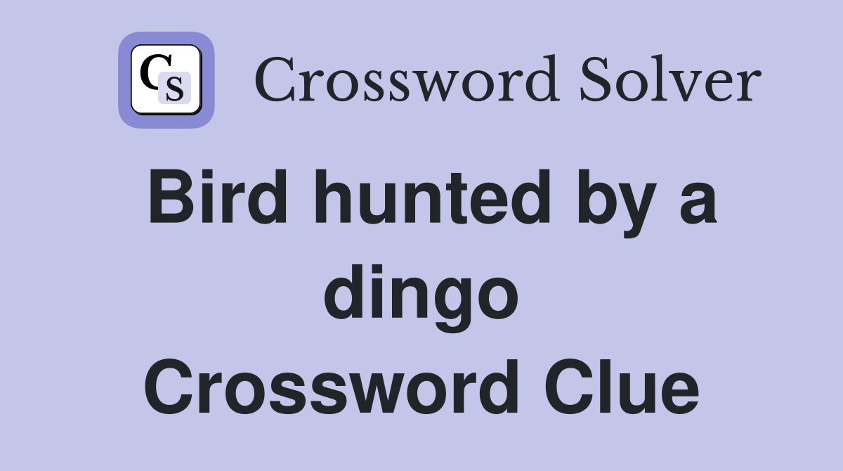 Bird hunted by a dingo Crossword Clue