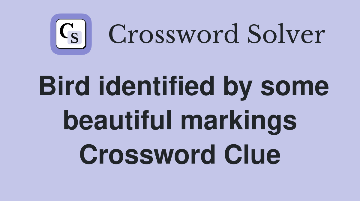 Bird identified by some beautiful markings Crossword Clue