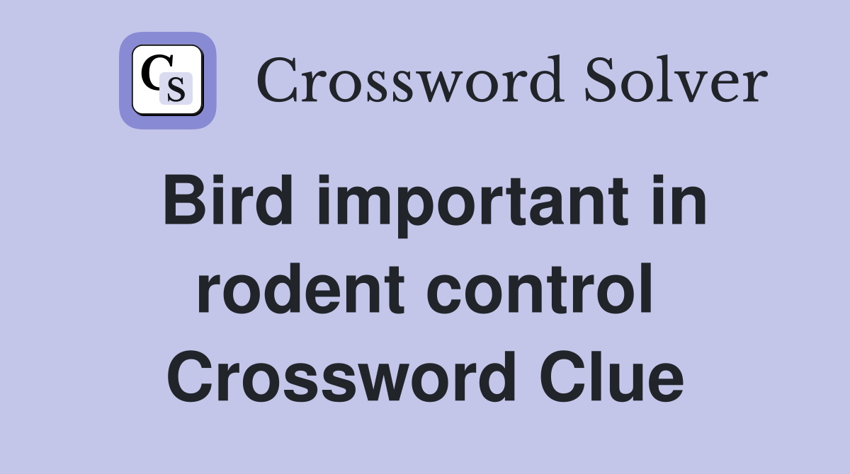 Bird important in rodent control Crossword Clue