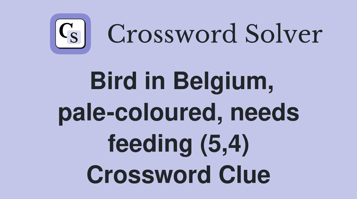 Bird in Belgium, pale-coloured, needs feeding (5,4) Crossword Clue