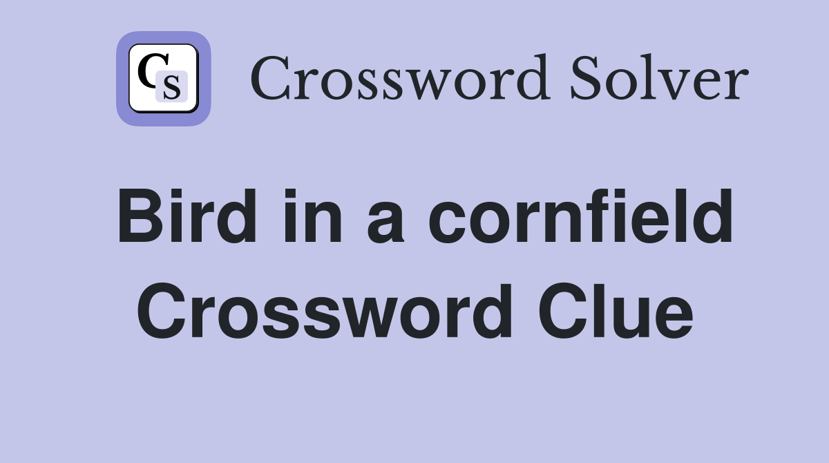 Bird in a cornfield Crossword Clue